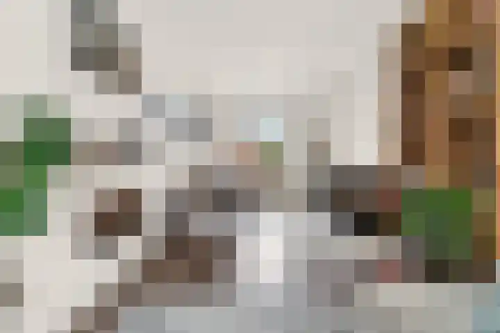 Steendalerstraat 75 Gennep thumbnail 8