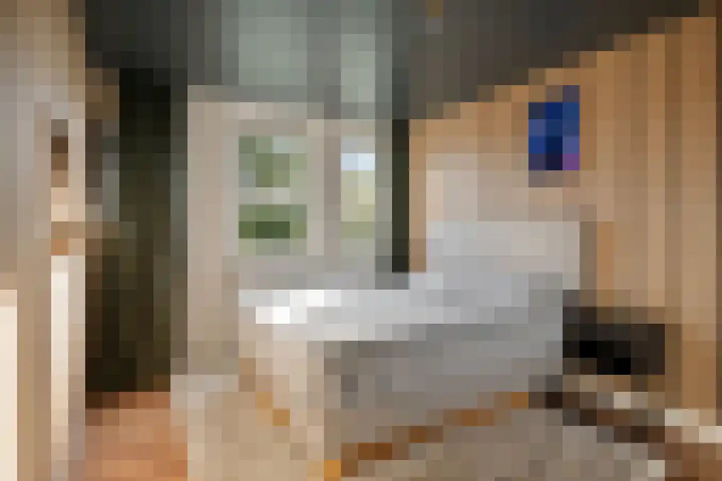 Steenderenstraat 13 Amsterdam thumbnail 23