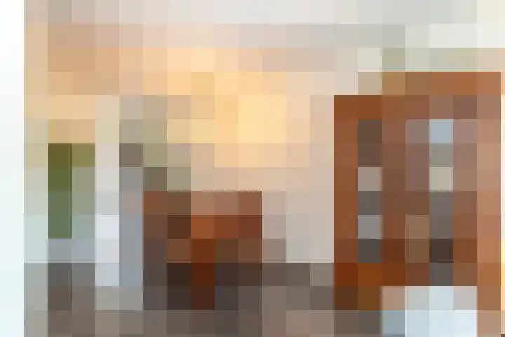 Steenderenstraat 7 Amsterdam thumbnail 13