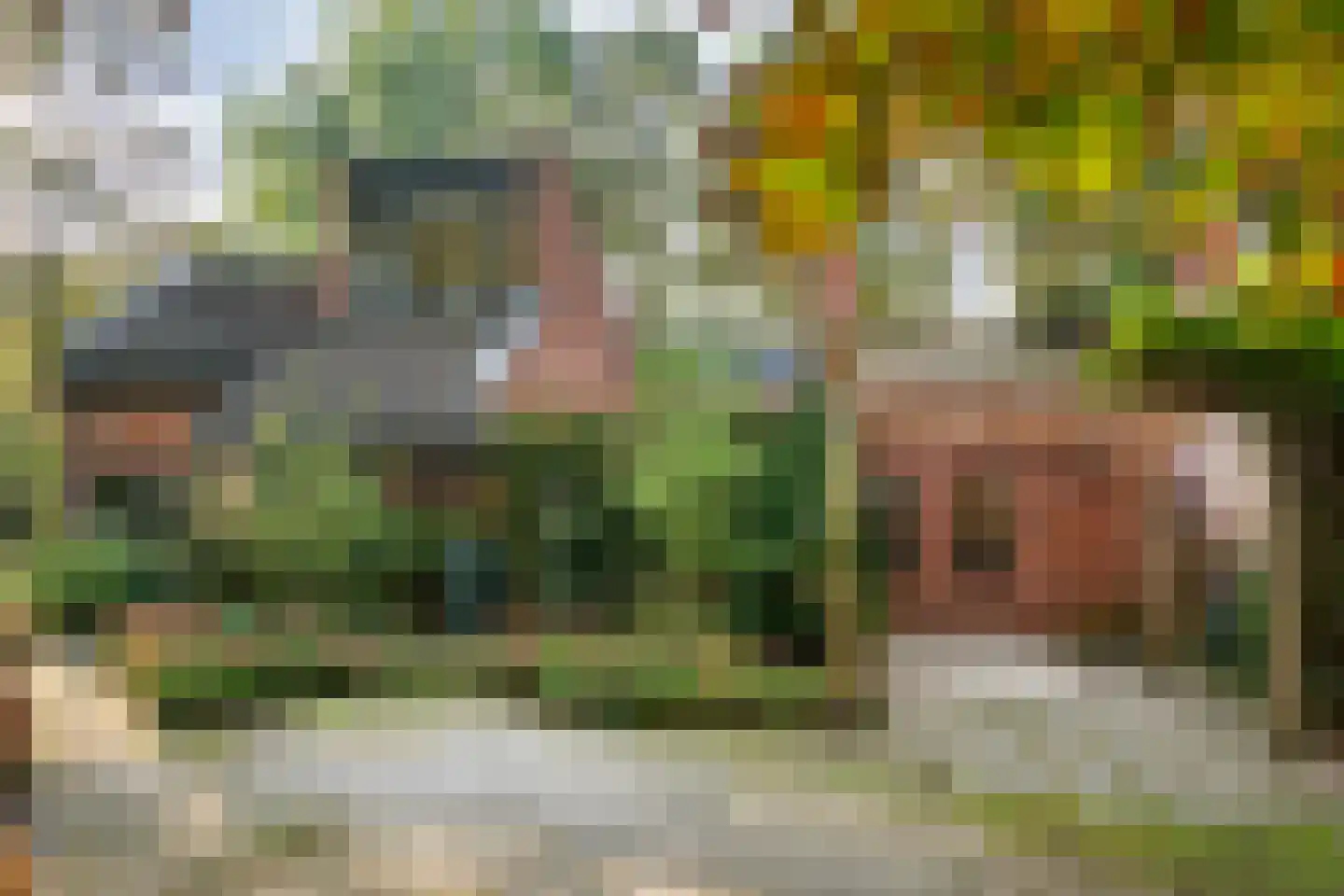Steenderkamp 41 in Zuidwolde