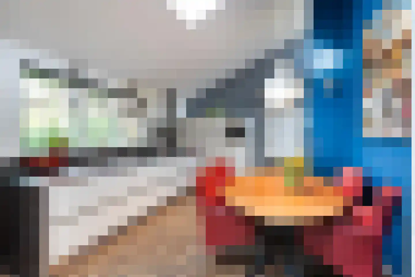 Steenderkamp 41 Zuidwolde thumbnail 16