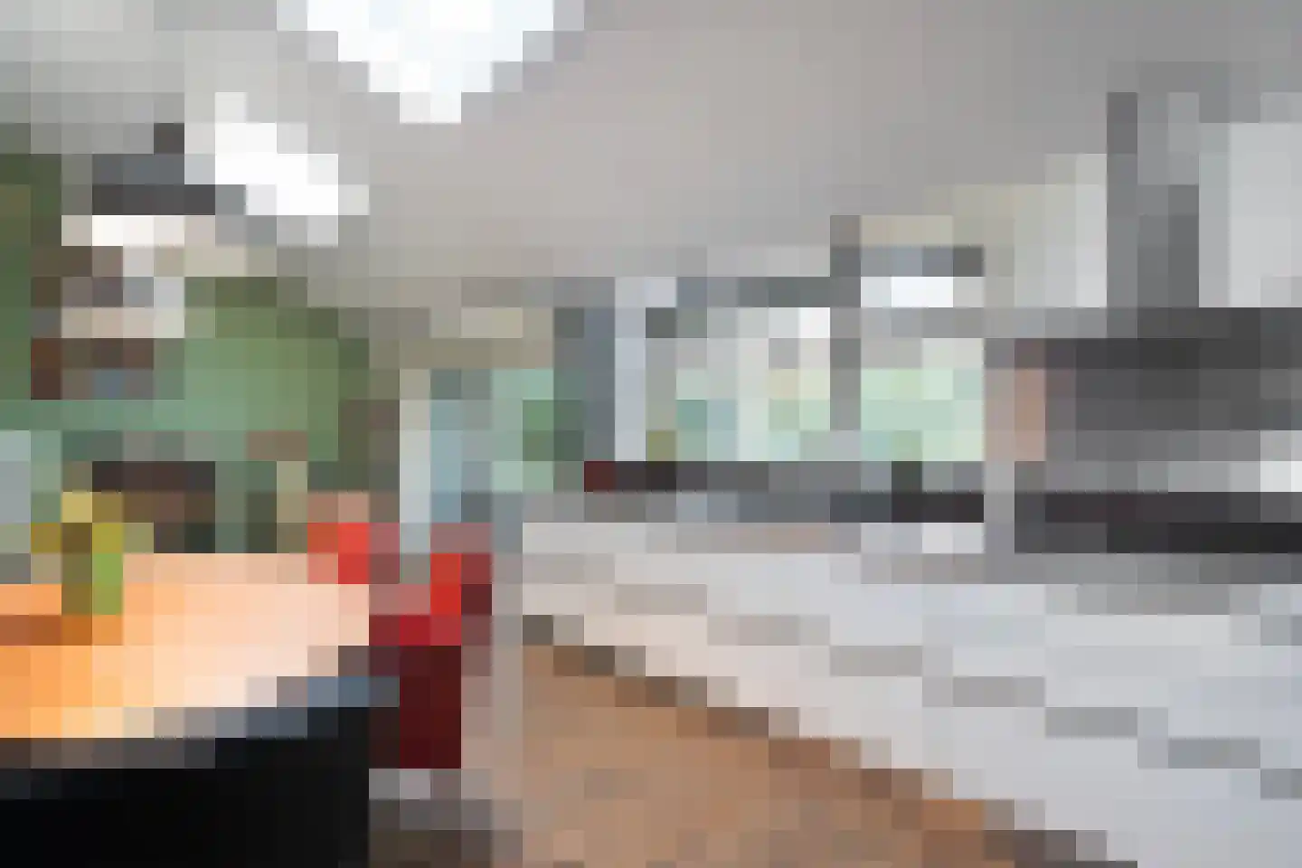 Steenderkamp 41 Zuidwolde thumbnail 22