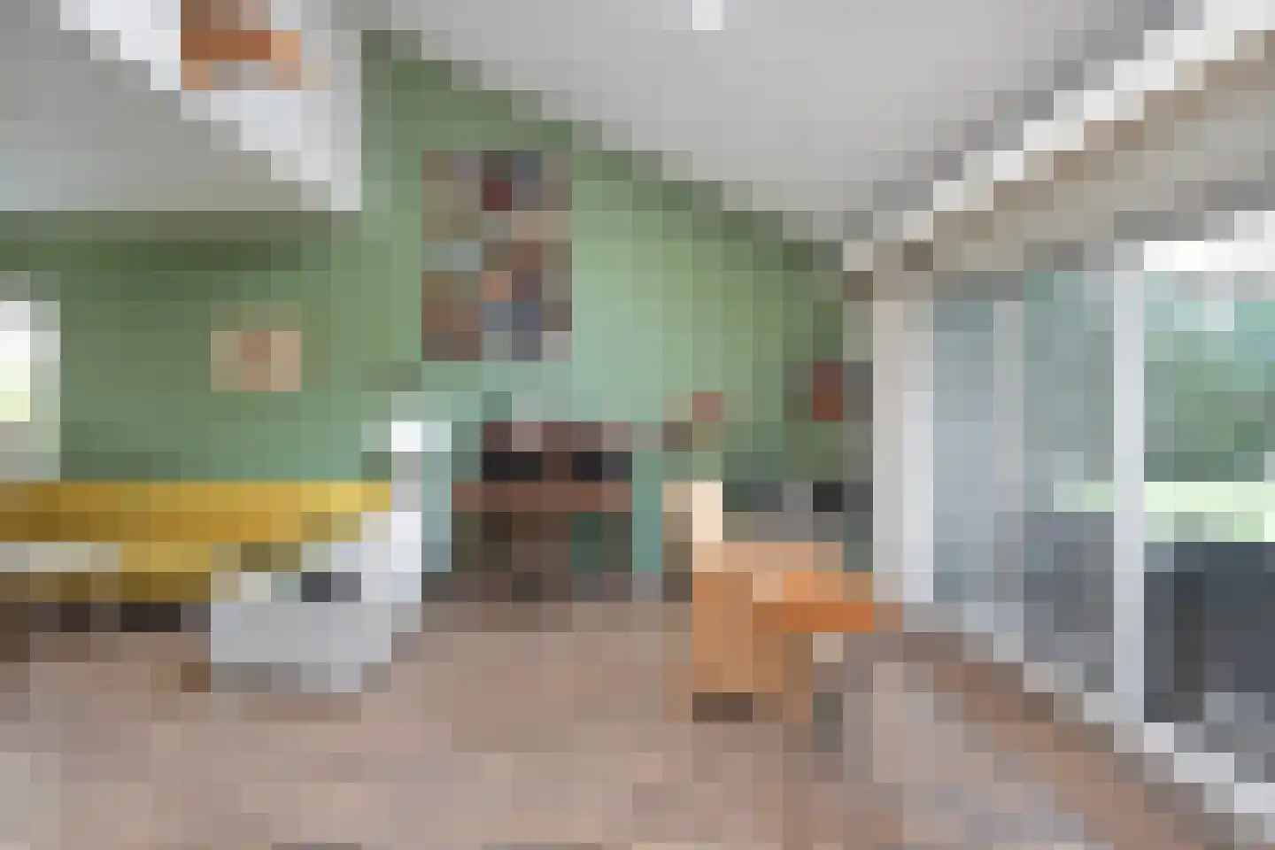 Steenderkamp 41 Zuidwolde thumbnail 23