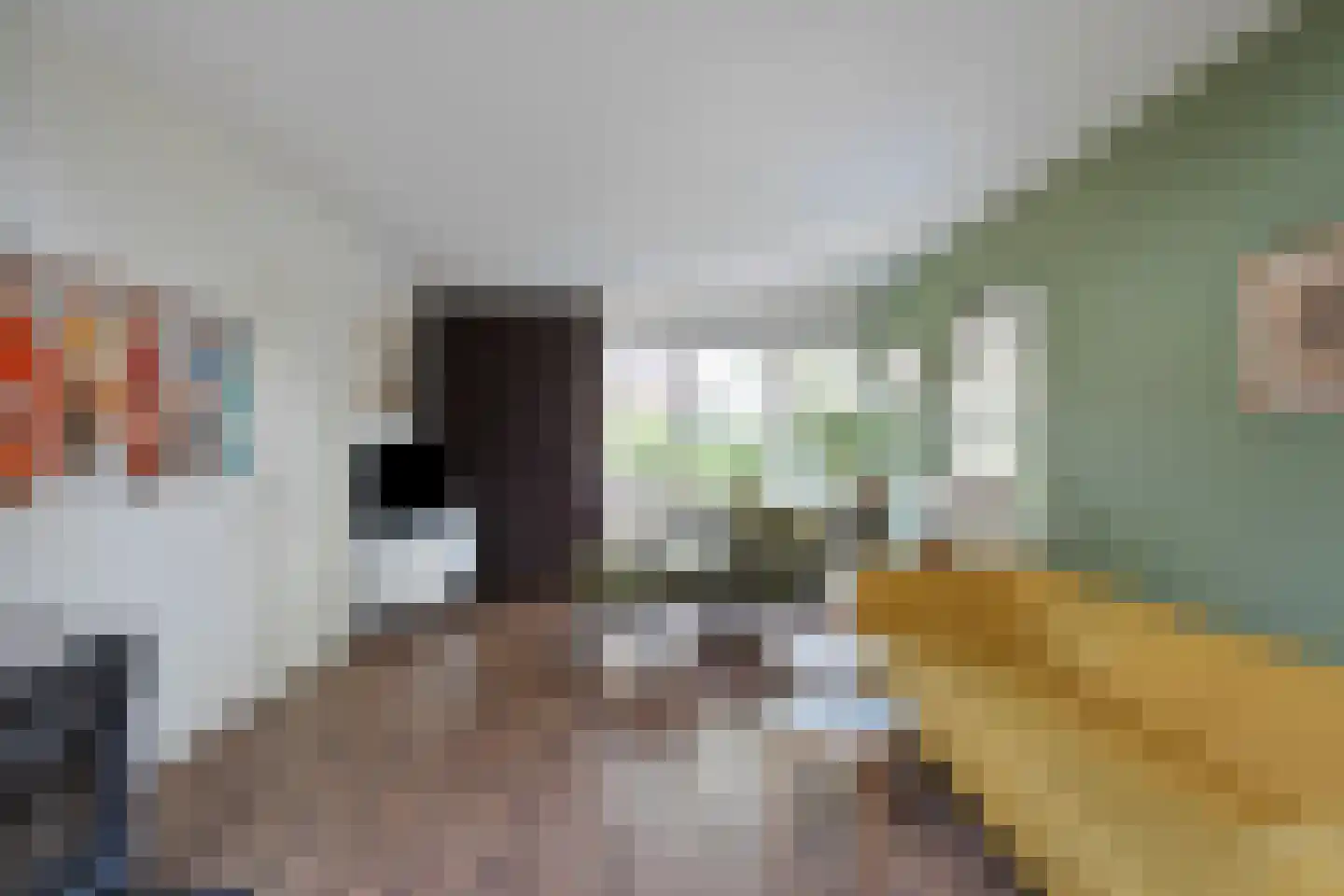 Steenderkamp 41 Zuidwolde thumbnail 24