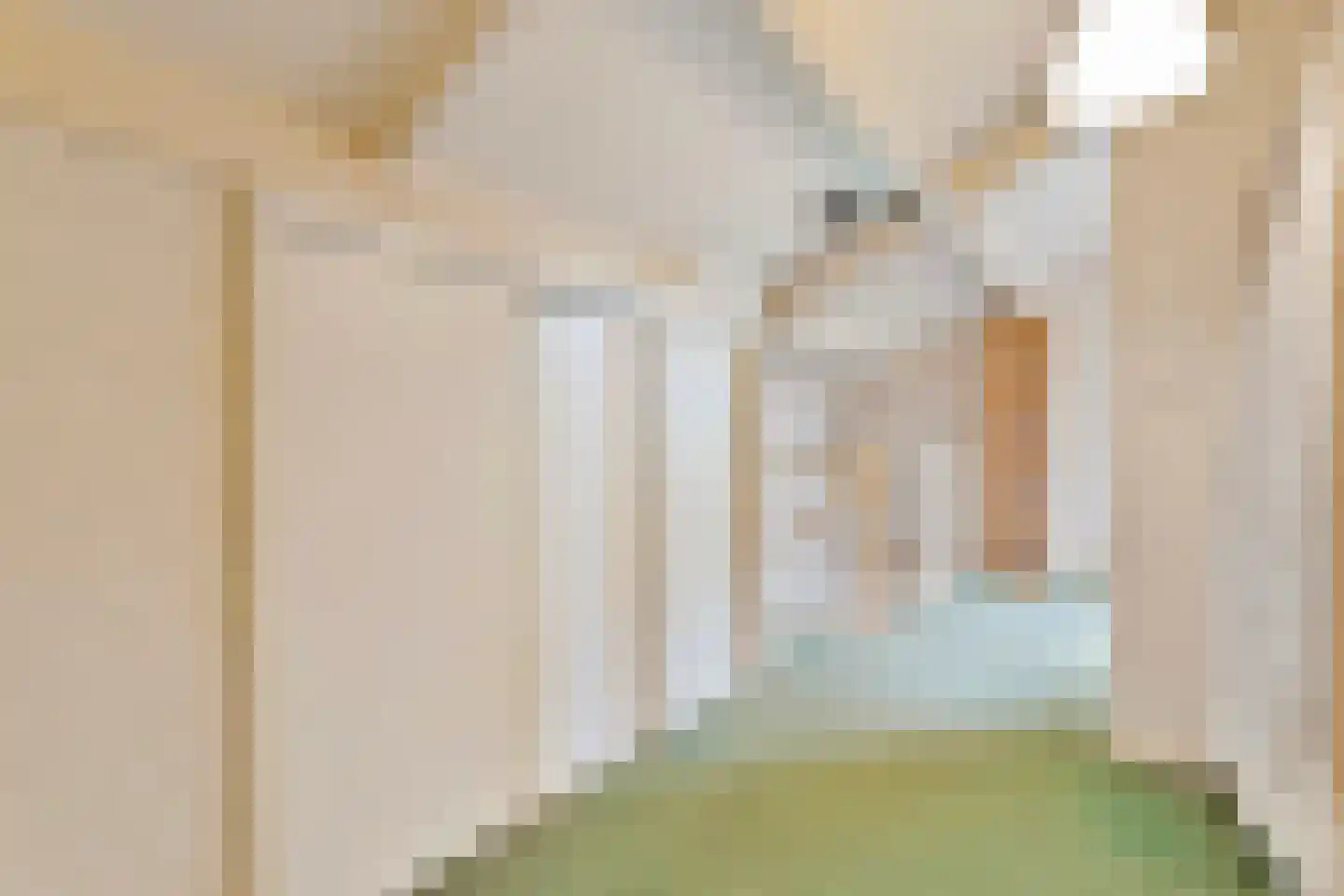 Steenderkamp 41 Zuidwolde thumbnail 45