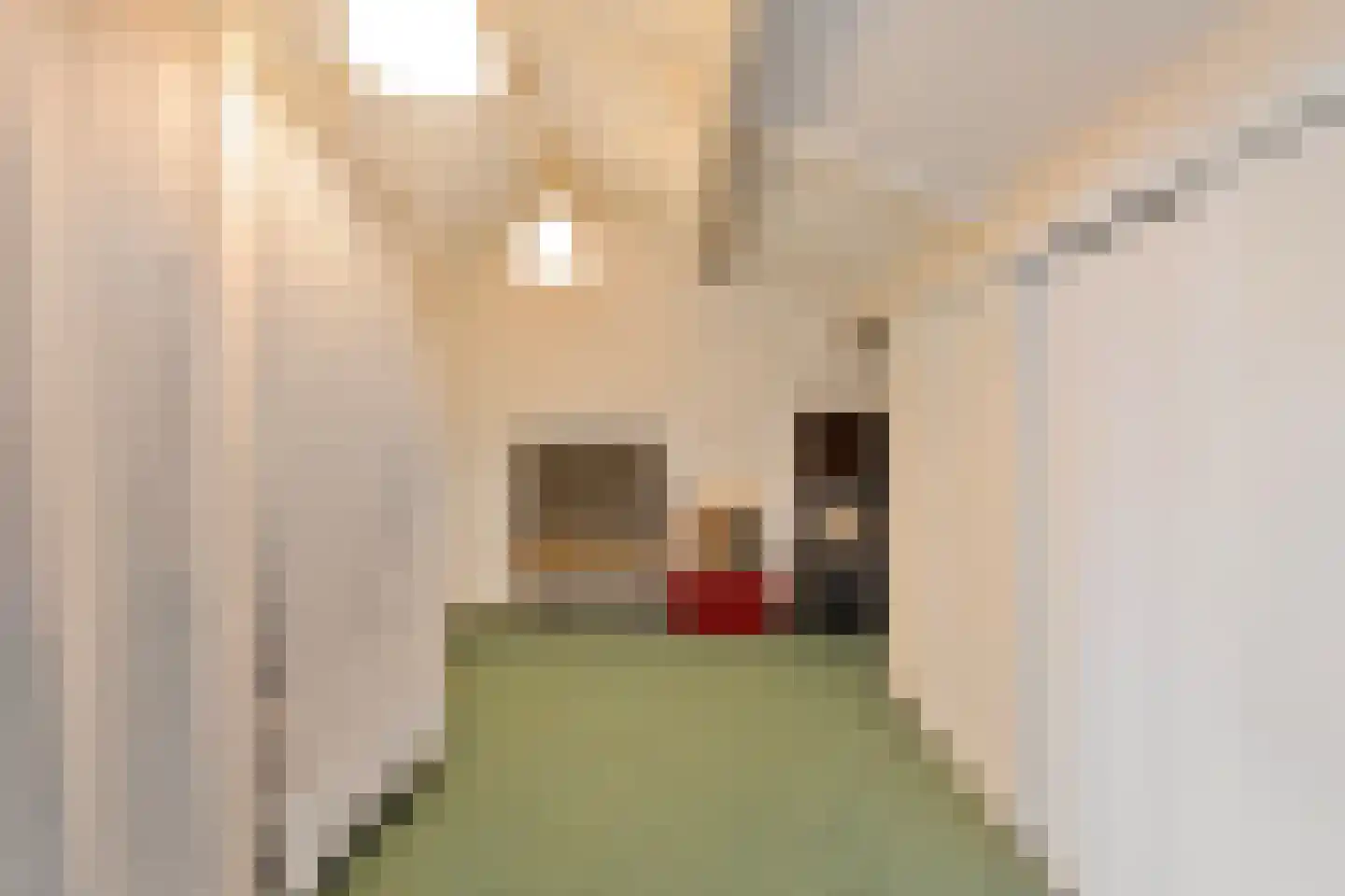 Steenderkamp 41 Zuidwolde thumbnail 46