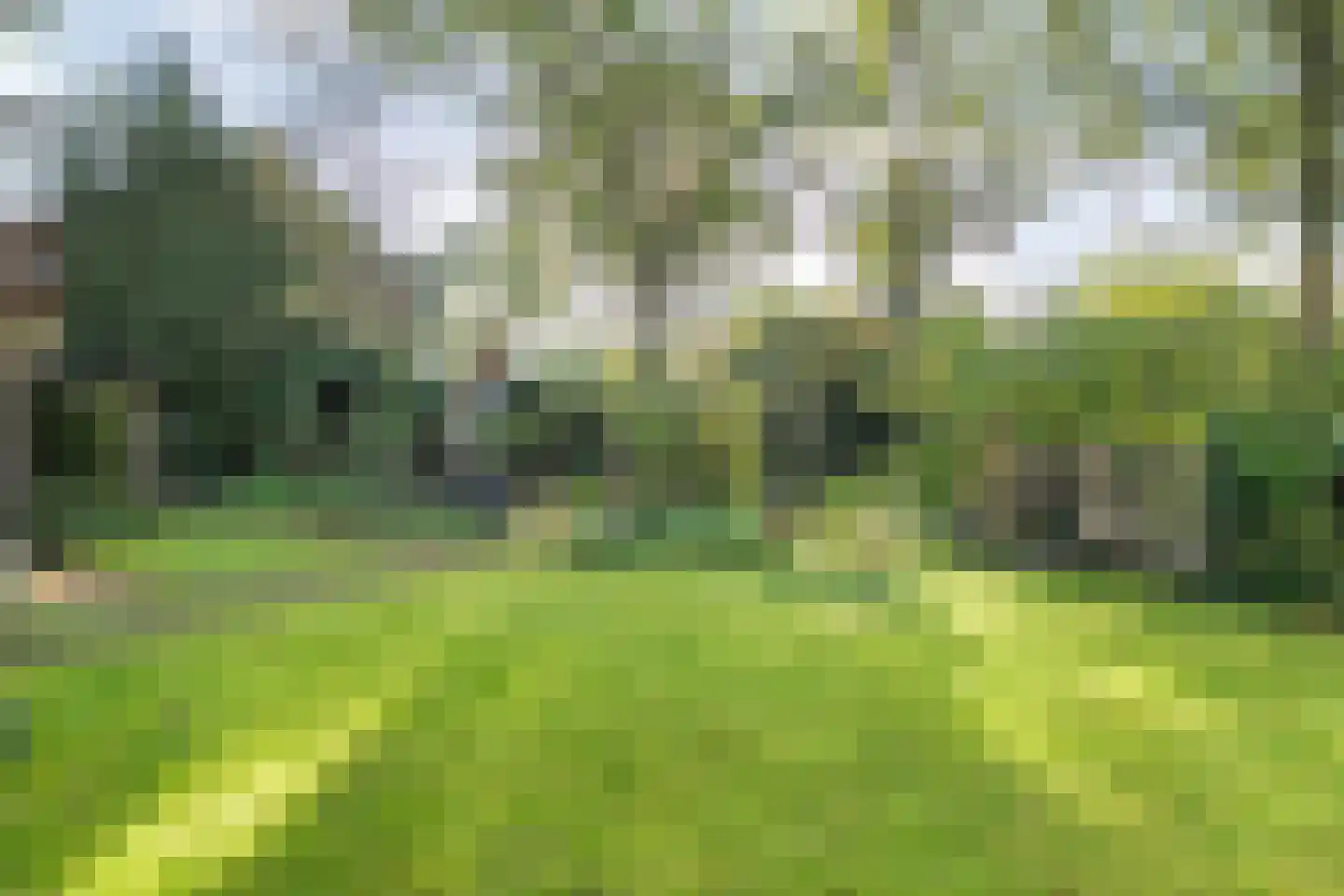 Steenderkamp 41 Zuidwolde thumbnail 48