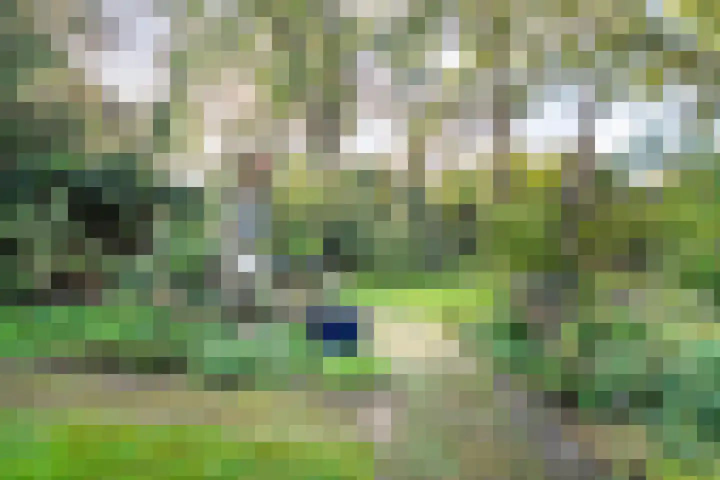 Steenderkamp 41 Zuidwolde thumbnail 58