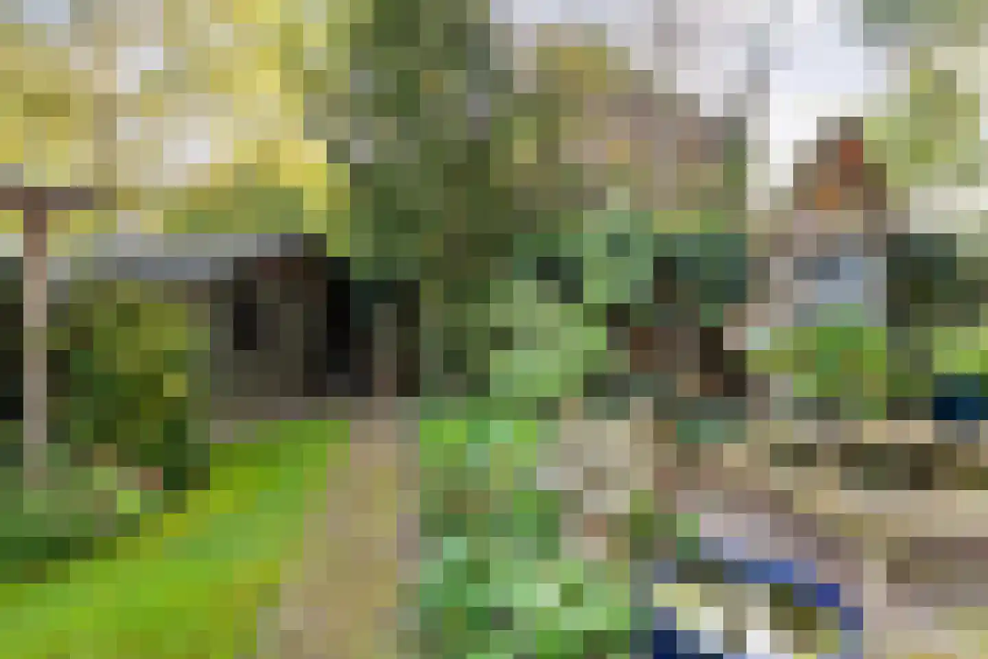 Steenderkamp 41 Zuidwolde thumbnail 59