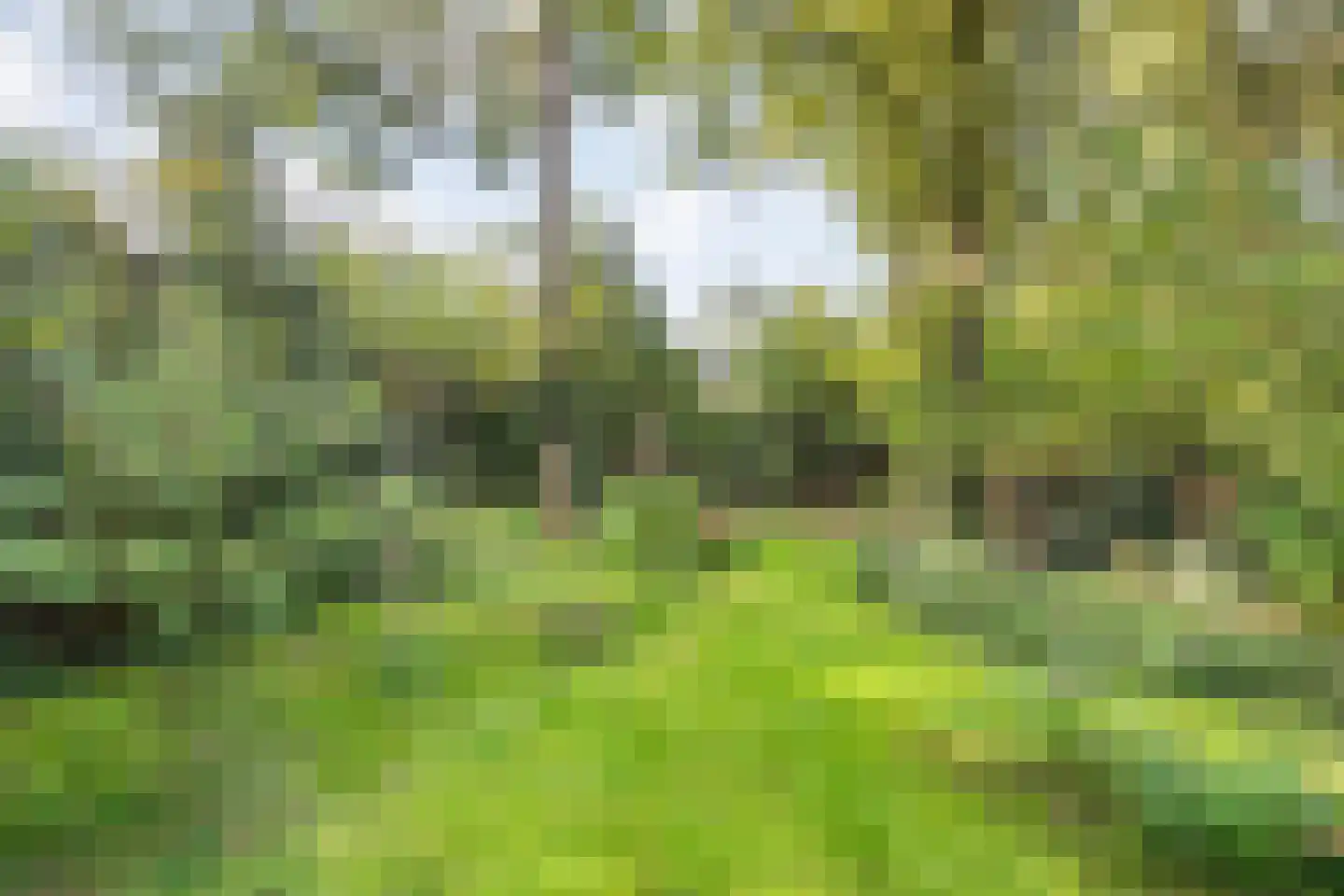 Steenderkamp 41 Zuidwolde thumbnail 61