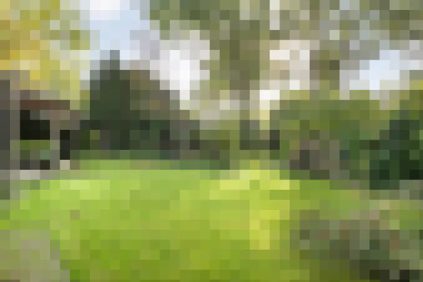 Steenderkamp 41 Zuidwolde thumbnail 62