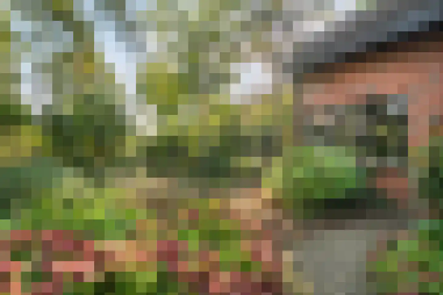 Steenderkamp 41 Zuidwolde thumbnail 65