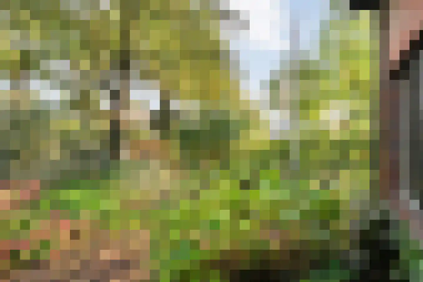 Steenderkamp 41 Zuidwolde thumbnail 66