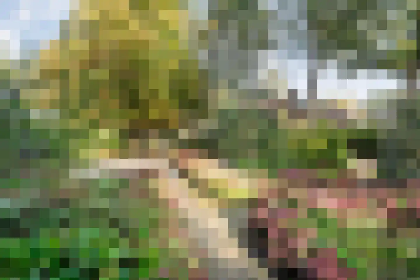 Steenderkamp 41 Zuidwolde thumbnail 67