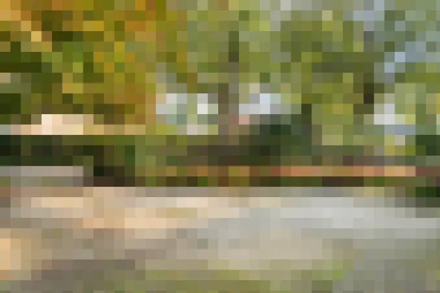 Steenderkamp 41 Zuidwolde thumbnail 69