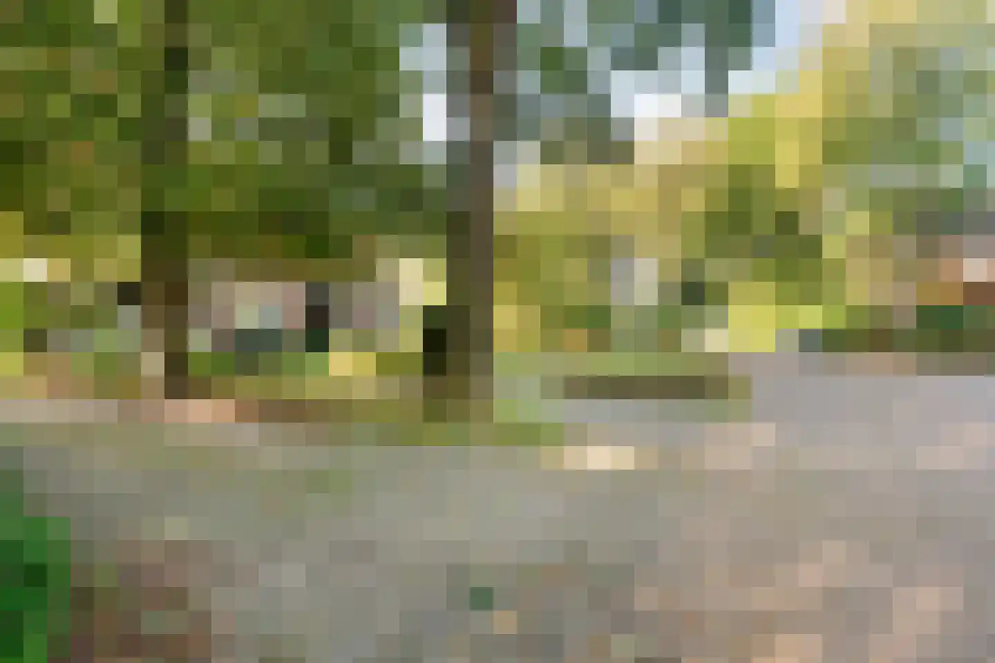 Steenderkamp 41 Zuidwolde thumbnail 70