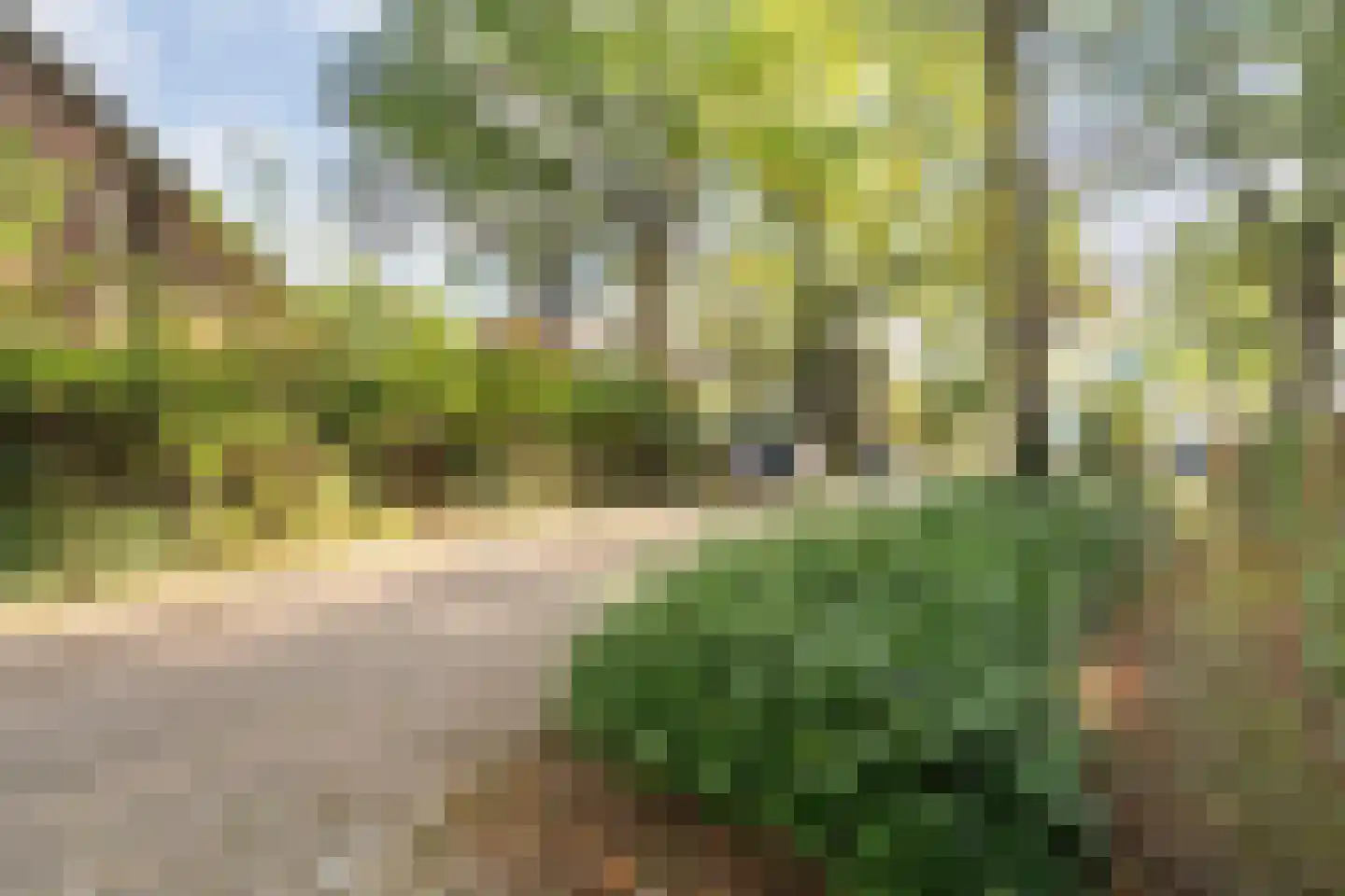 Steenderkamp 41 Zuidwolde thumbnail 71