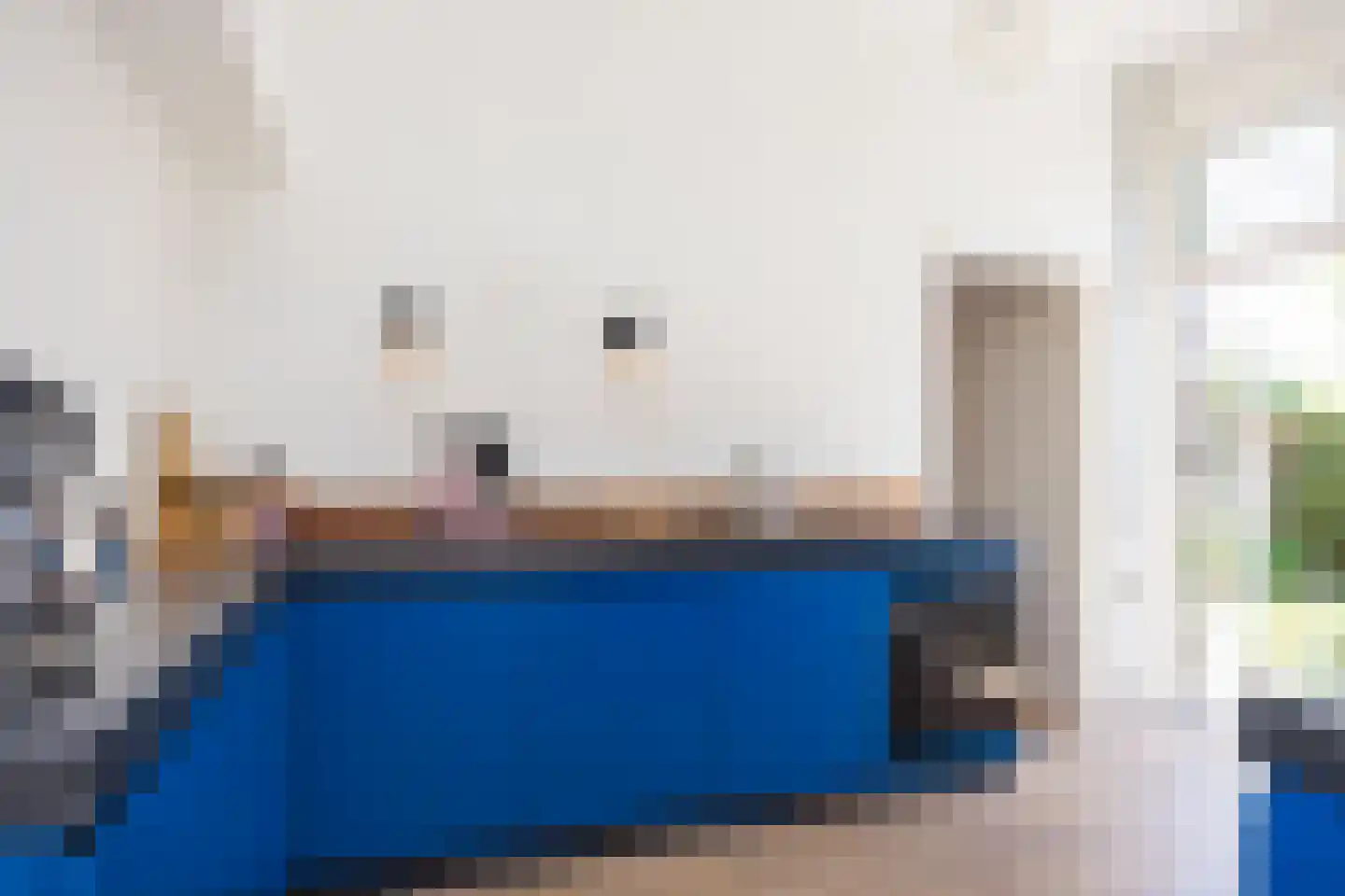 Steenderseweg 4 Baak thumbnail 17