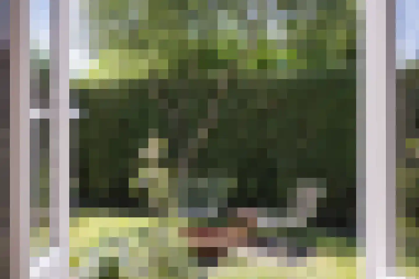Steenderseweg 4 Baak thumbnail 27
