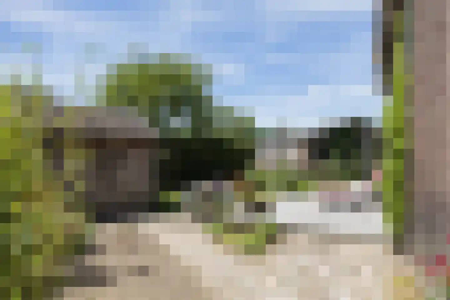 Steenderseweg 4 Baak thumbnail 28