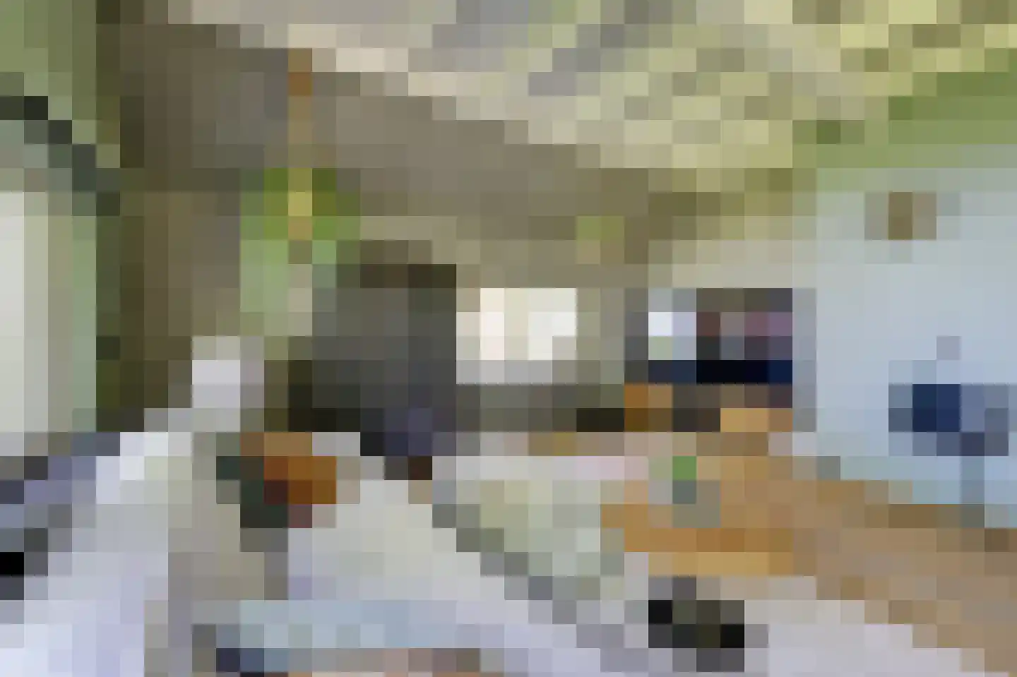 Steendervalsweg 26 Mantinge thumbnail 12
