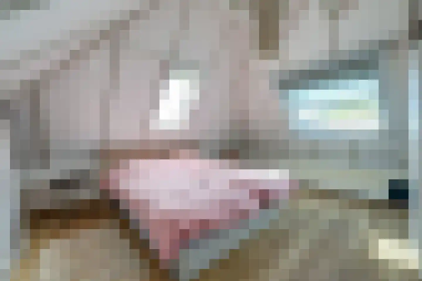 Steendervalsweg 26 Mantinge thumbnail 15