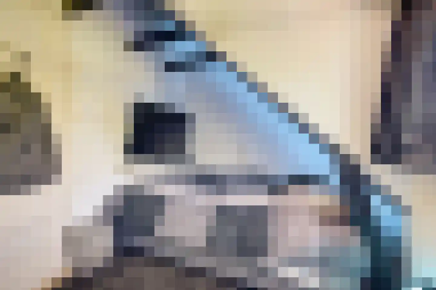 Steendervalsweg 26 Mantinge thumbnail 17