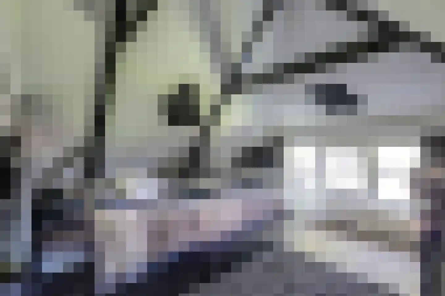 Steendervalsweg 26 Mantinge thumbnail 19