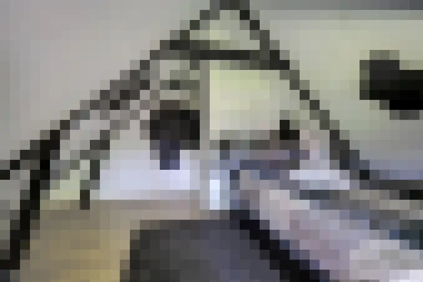 Steendervalsweg 26 Mantinge thumbnail 20