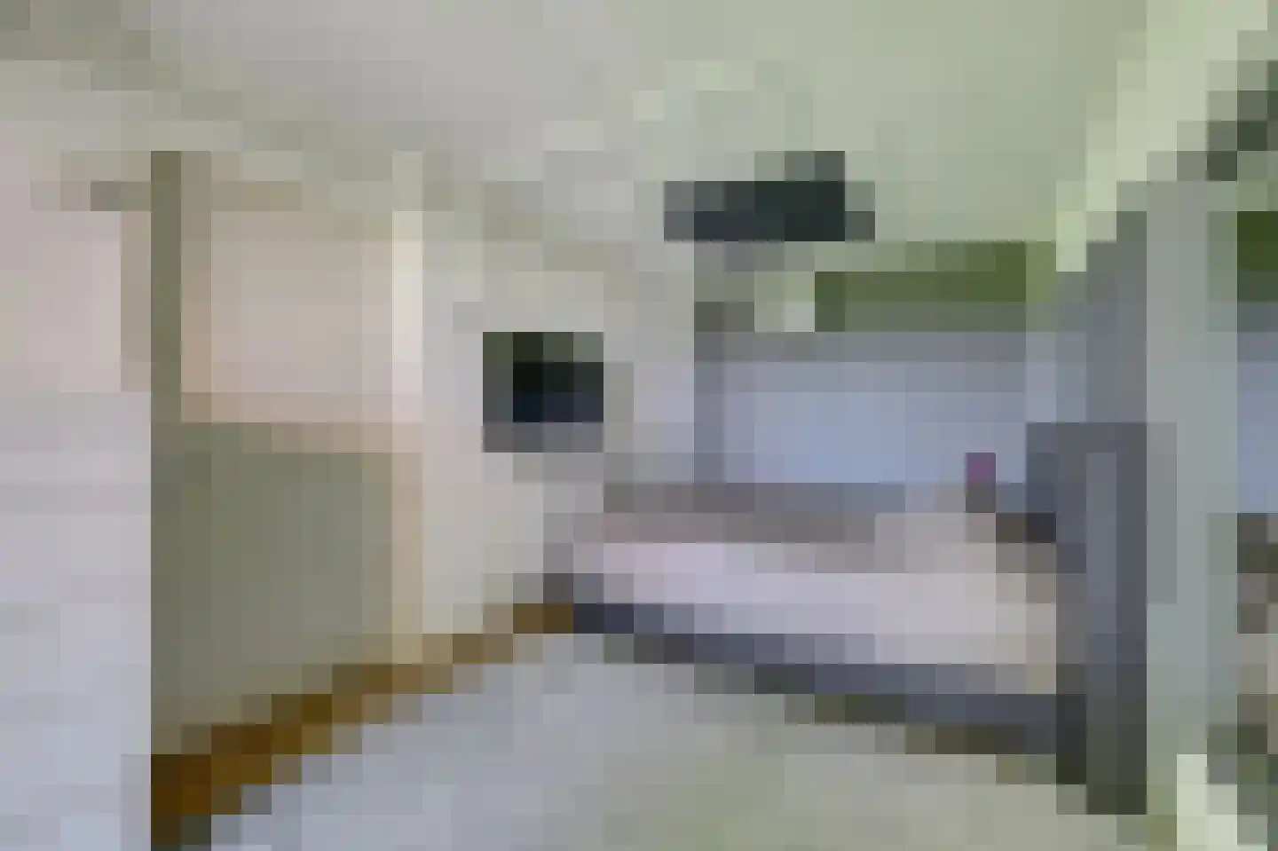 Steendervalsweg 26 Mantinge thumbnail 23