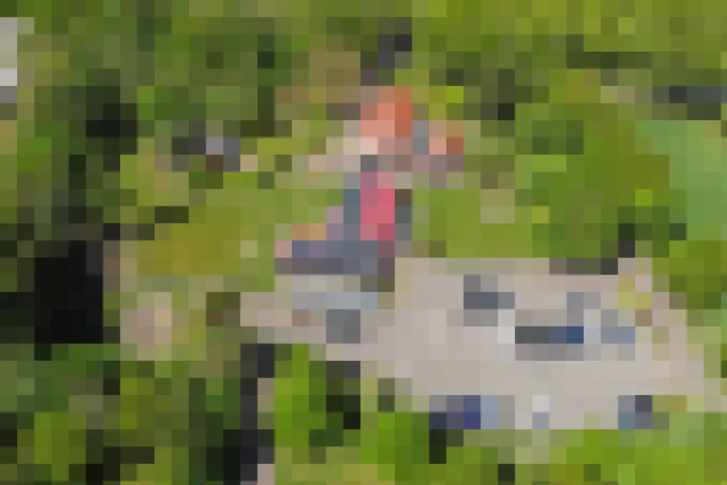 Steendervalsweg 26 Mantinge foto 3