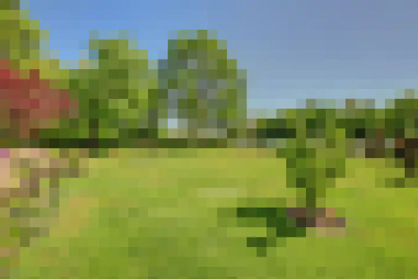 Steendervalsweg 26 Mantinge thumbnail 35