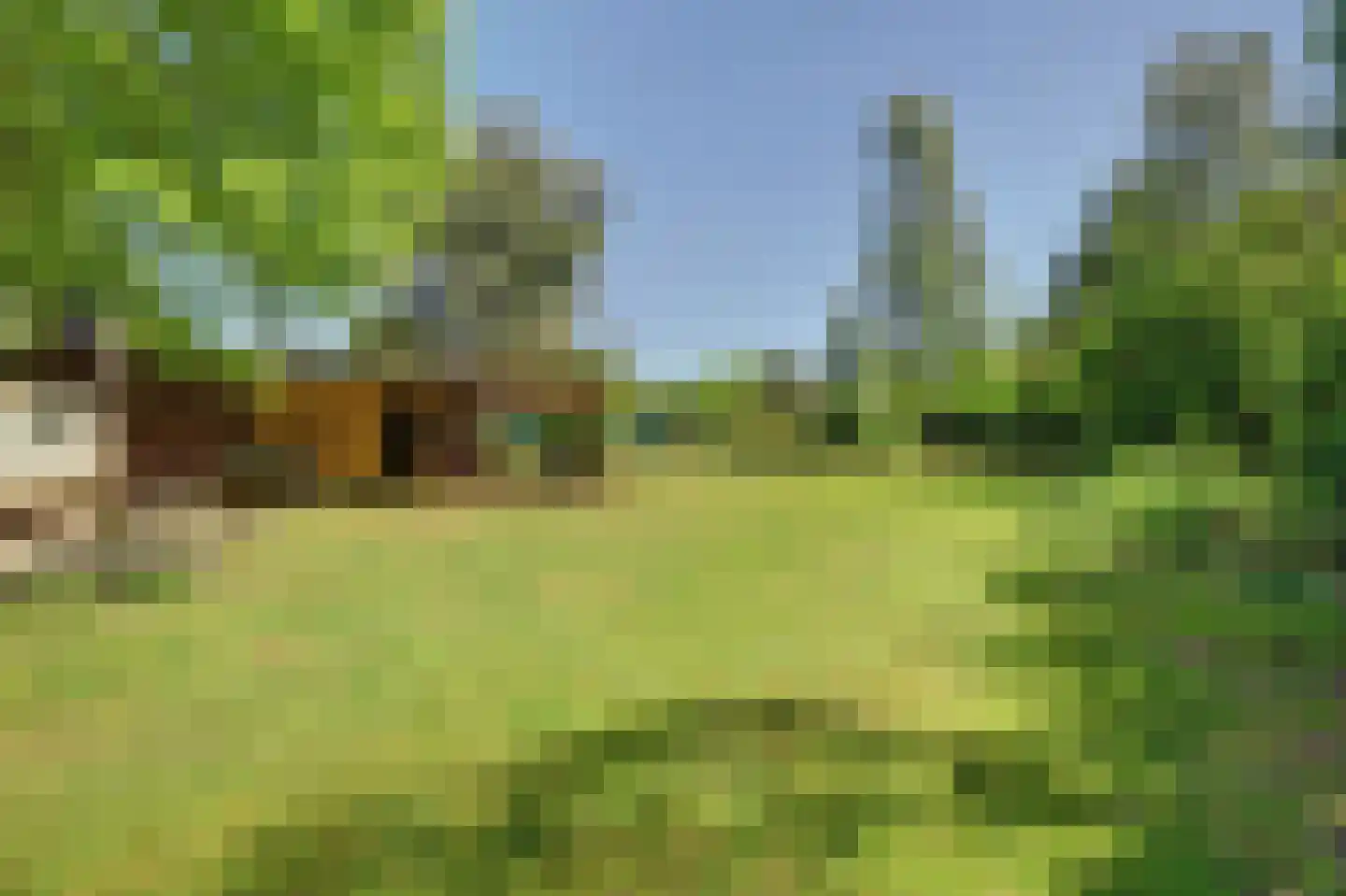 Steendervalsweg 26 Mantinge thumbnail 36