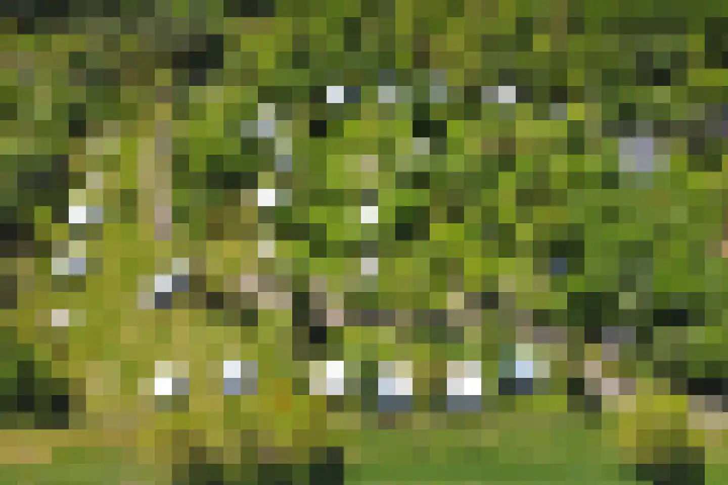 Steendervalsweg 26 Mantinge thumbnail 42