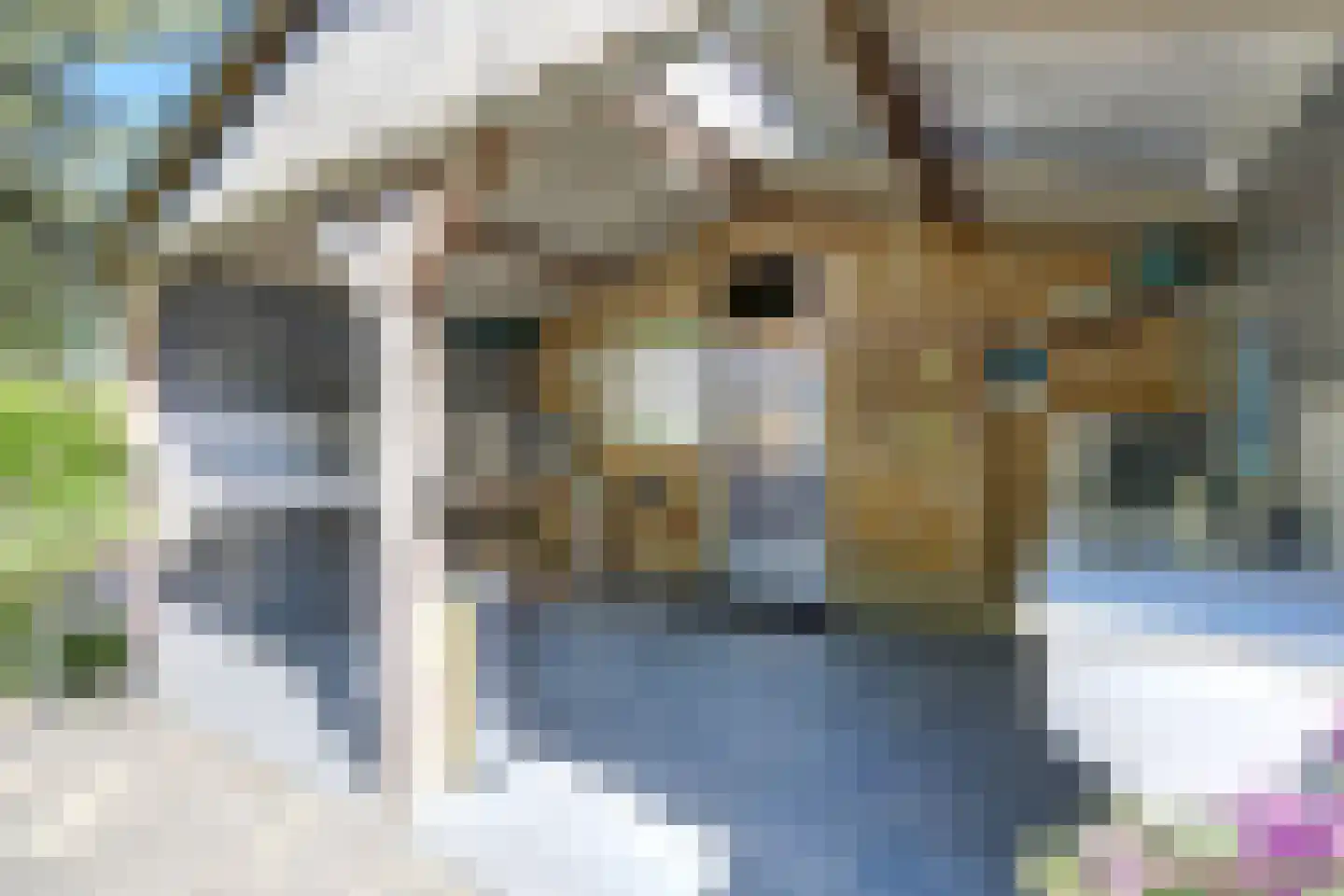 Steendervalsweg 26 Mantinge thumbnail 46
