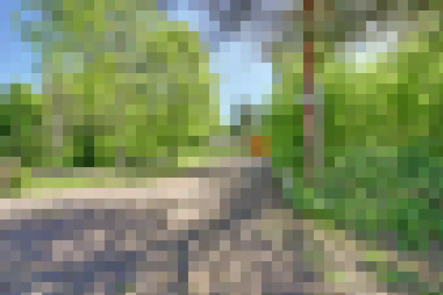 Steendervalsweg 26 Mantinge thumbnail 50