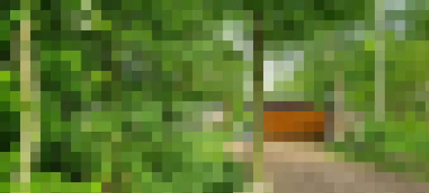 Steendervalsweg 26 Mantinge thumbnail 51