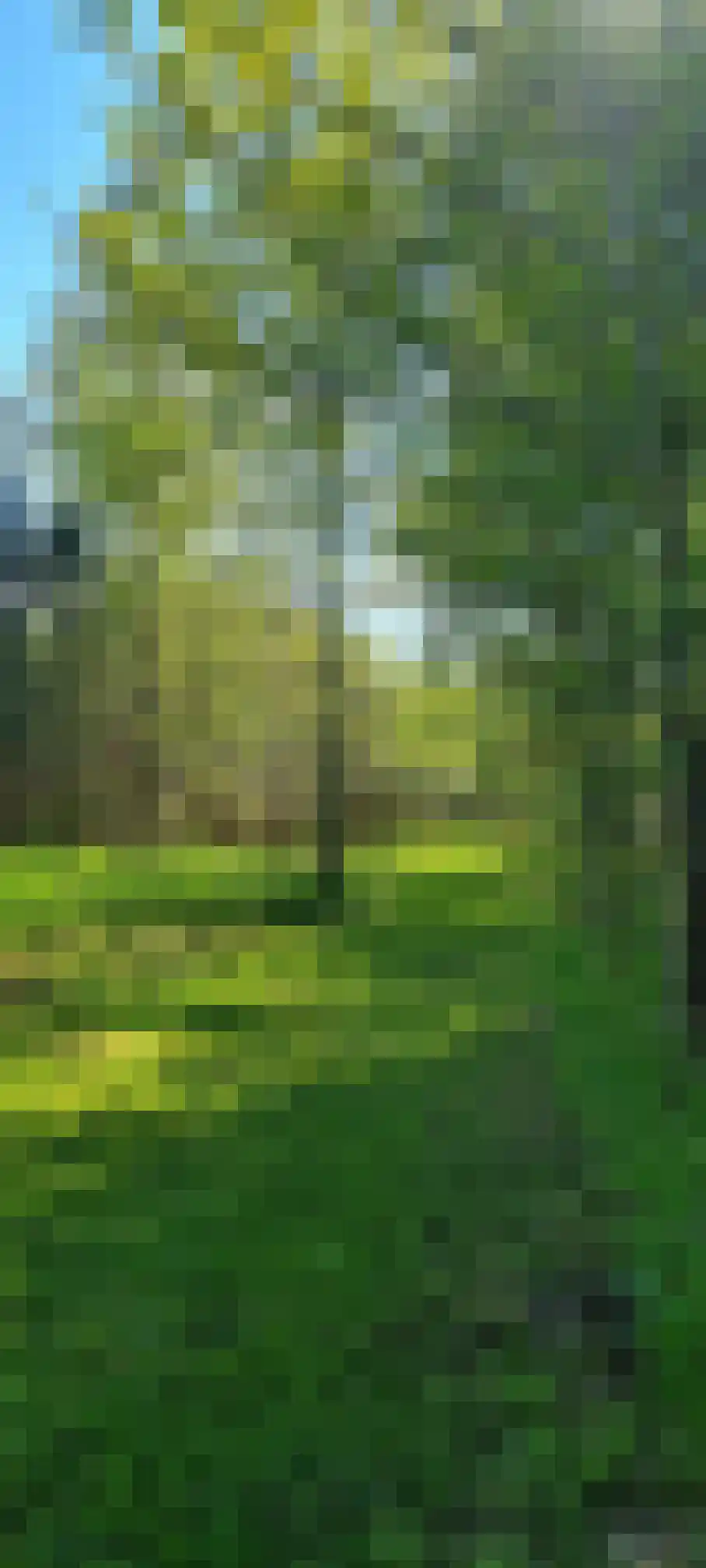 Steendervalsweg 26 Mantinge thumbnail 57