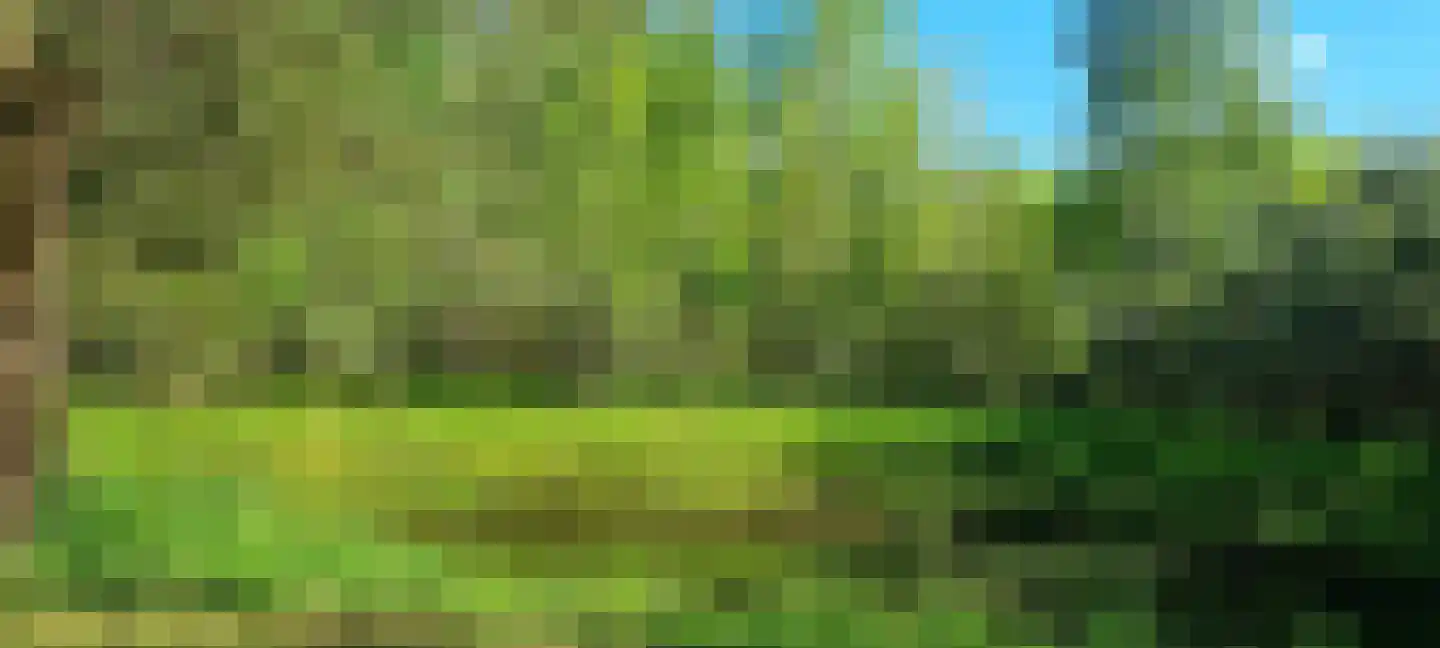 Steendervalsweg 26 Mantinge thumbnail 58
