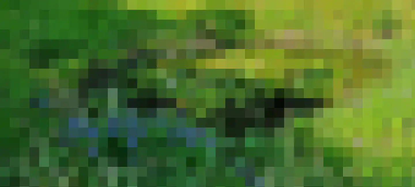 Steendervalsweg 26 Mantinge thumbnail 59