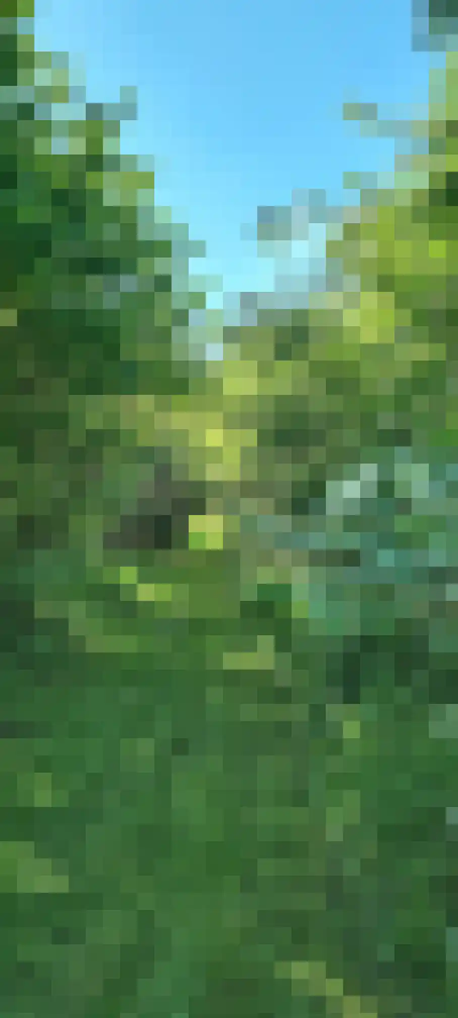 Steendervalsweg 26 Mantinge thumbnail 60