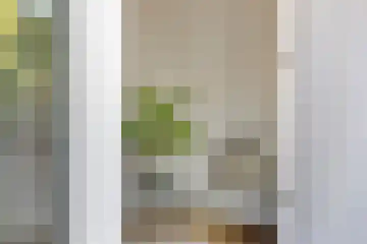 Steendijk 19 Assen thumbnail 12