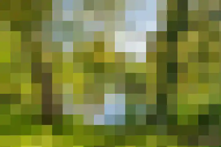 Steendijk 25 Assen thumbnail 23