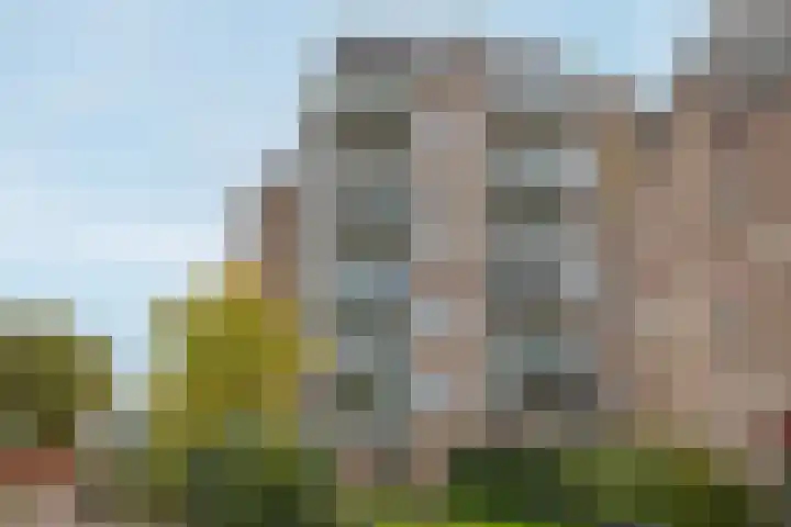 Steendijk 83 Assen thumbnail 28