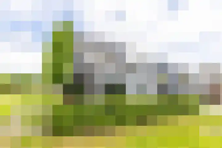 Steendobbe 1 Zuidlaren thumbnail 10