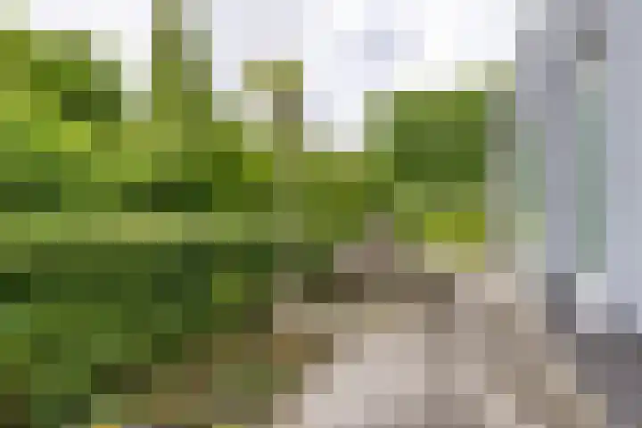 Steendobbe 1 Zuidlaren thumbnail 12