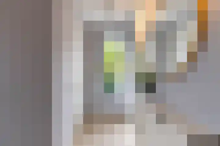 Steendobbe 1 Zuidlaren thumbnail 17