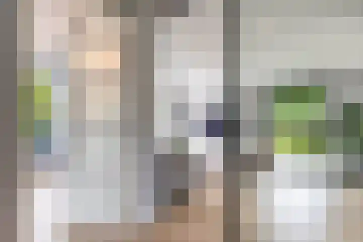 Steendobbe 1 Zuidlaren thumbnail 19