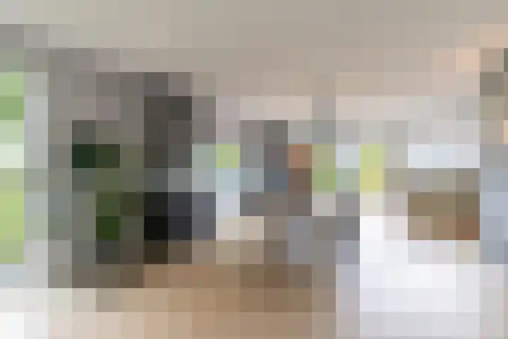 Steendobbe 1 Zuidlaren thumbnail 26