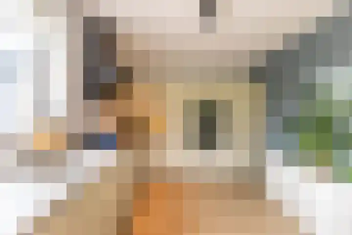 Steendobbe 1 Zuidlaren thumbnail 31